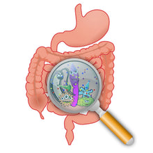 Load image into Gallery viewer, Genova GI Effects- Stool Analysis