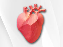 Load image into Gallery viewer, CardiaX