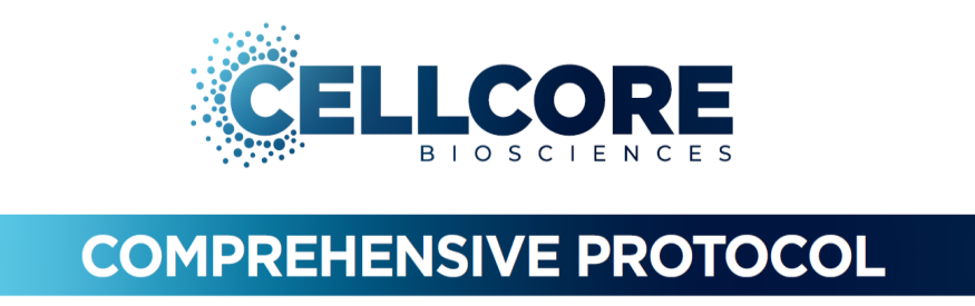 Comprehensive Protocol Phase Five