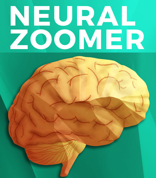 Neural Zoomer ™